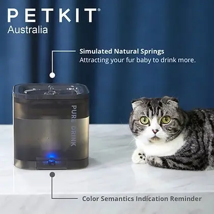 PETKIT Eversweet Solo Drinking Fountain