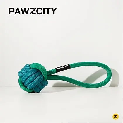 PAWZCITY Interactive Rope Ball