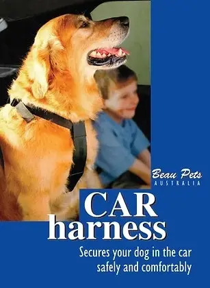 Dogs Car Harness System