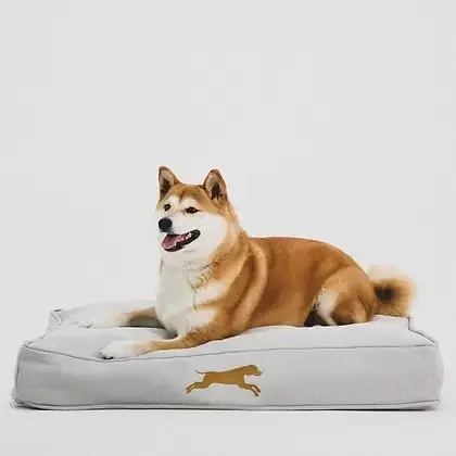 Orthopaedic Memory Foam Dog & Pet Bed - Medium