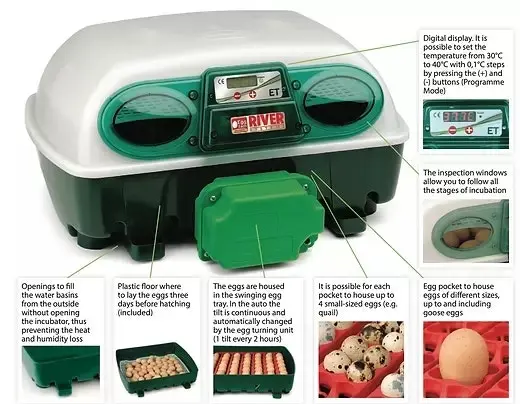 River Systems Eggtech 12 Egg Incubator