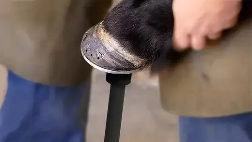 Adjustable Hoof Farrier Stand