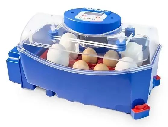 Borotto Chicken Poultry Duck Quail Egg Incubator Lumia 8 Automatic