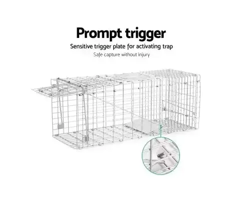 Humane Animal Trap Cage