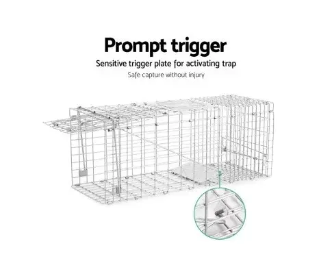 Humane Animal Trap Cage