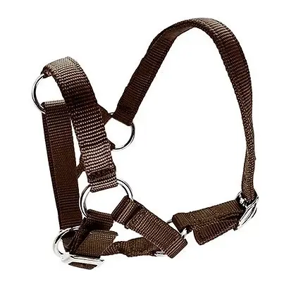 Premium Adjustable Nylon Alpaca Halter - 6 Colours