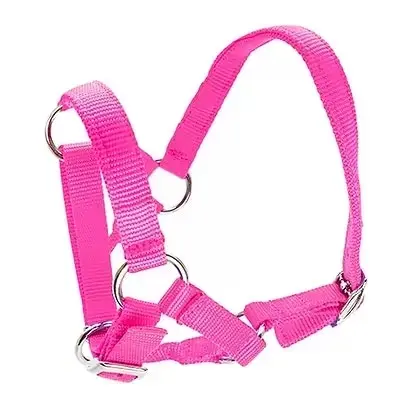 Premium Adjustable Nylon Alpaca Halter - 6 Colours