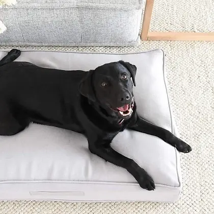 Orthopaedic Memory Foam Dog & Pet Bed - Large