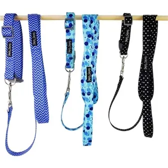 Dan & Sam  Polyester Webbing Lead  Fabulous