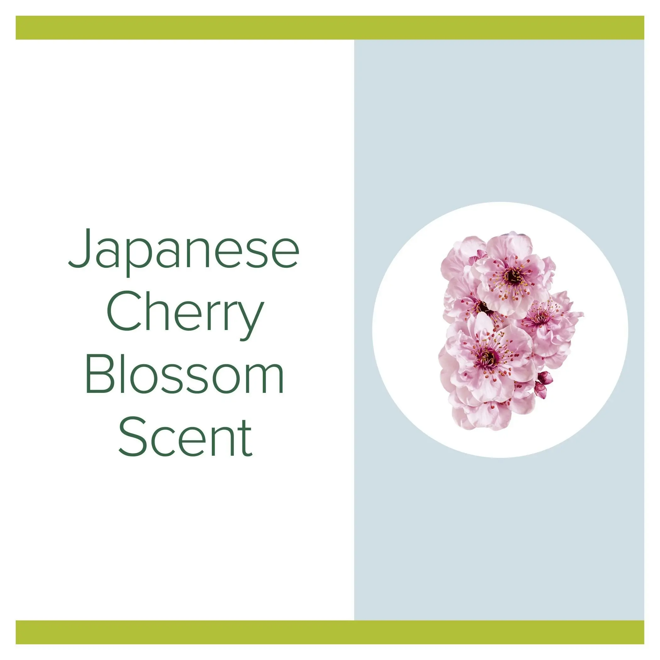 Palmolive Japanese Cherry Blossom Sanitiser 48ml