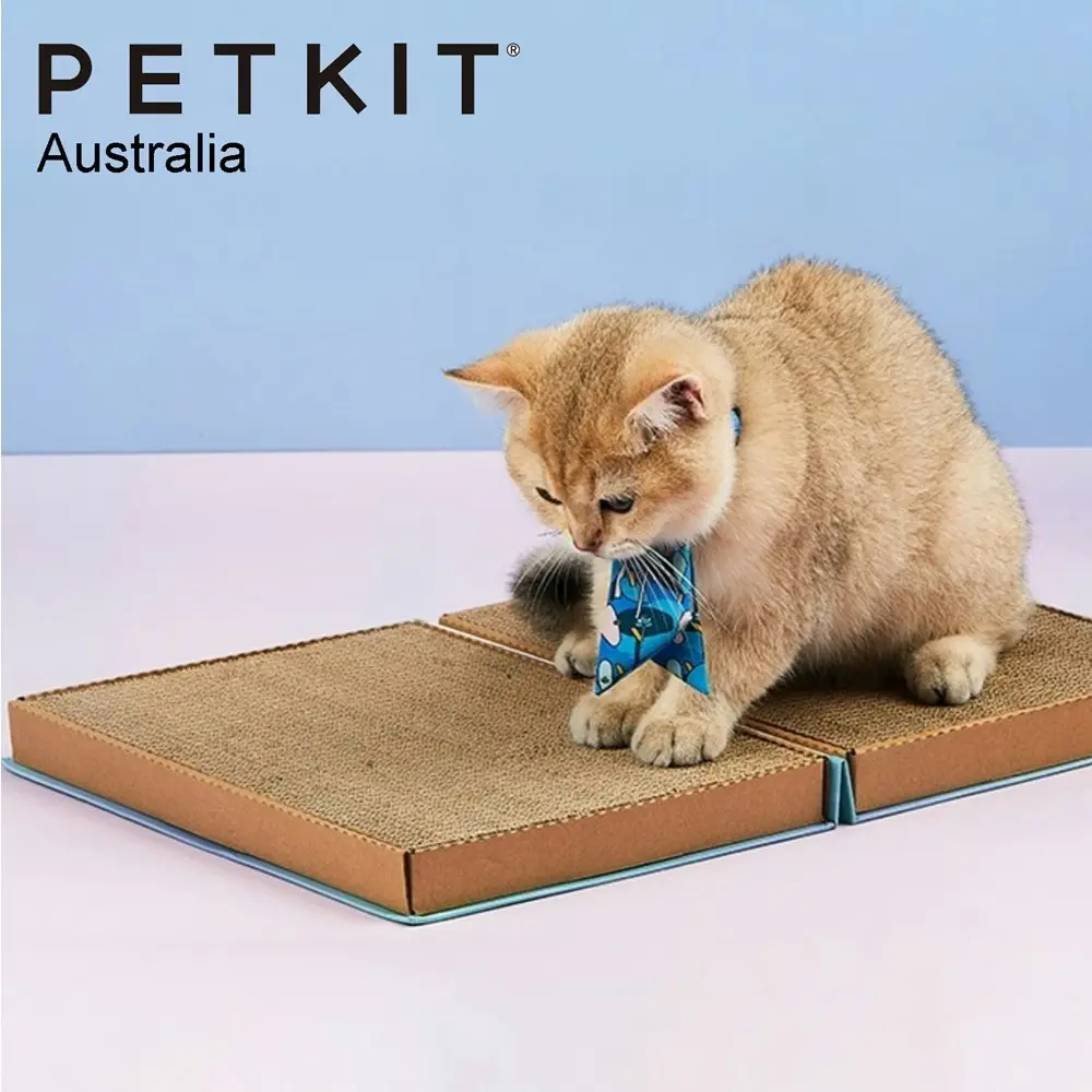 Petkit 30cm Catpedia Corrugated Paper Book Pets Cat Toy Scratcher w/Catnip Blue