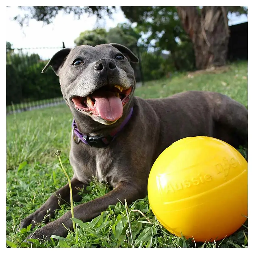 Aussie Dog 15cm Medium Rattle Tucker Ball Treat Food Dispenser 10-15kg Dogs Toy