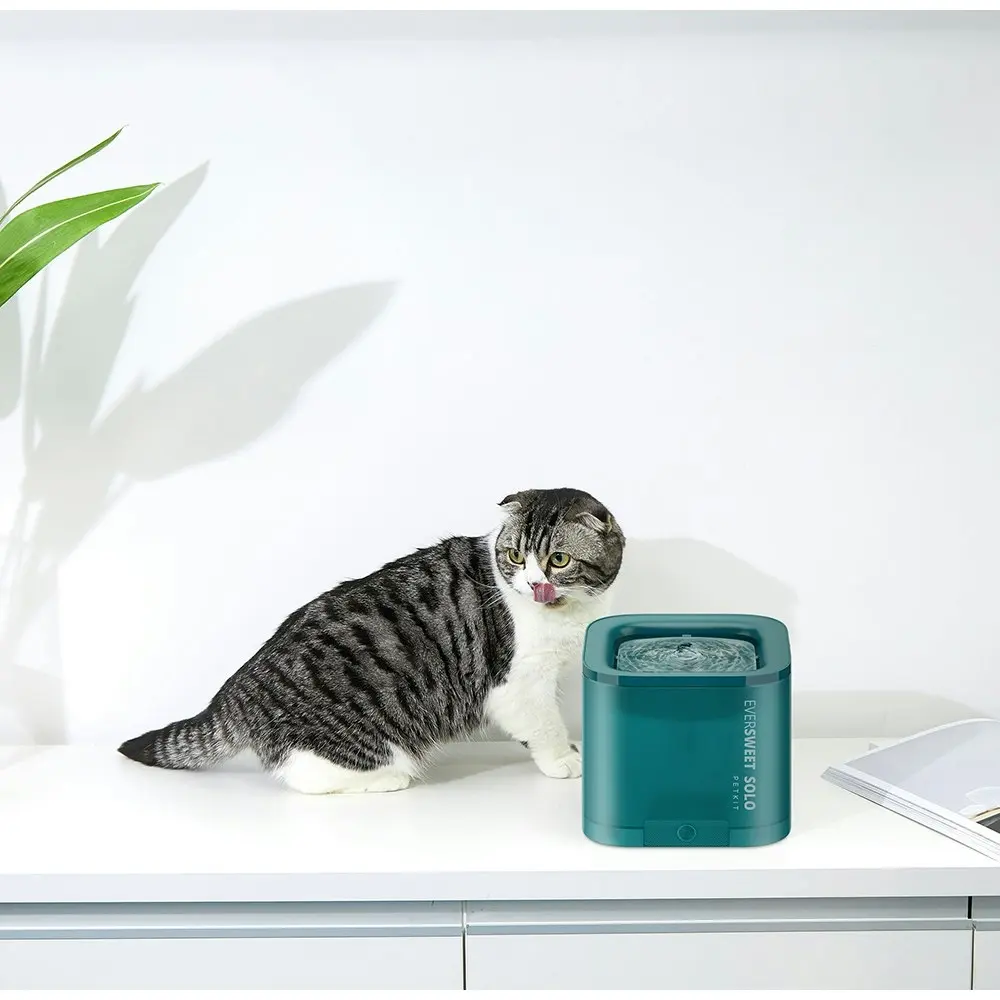 Petkit 16cm 1.8L Eversweet Solo Smart Water Drinking Fountain Dog/Pet/Cat Green