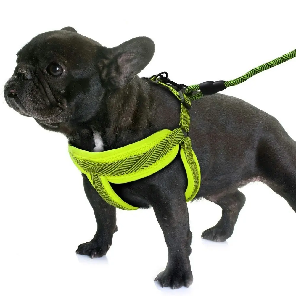 3x Paws & Claws Dog/Pet Mesh 120cm Lead/42-60cm Adjustable Harness Small Assort.