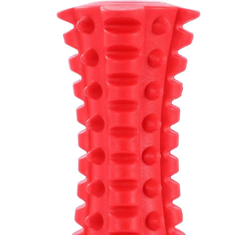 Paws & Claws 16cm Beef Flavour-Bone Spiky Bone Rubber Dog Toy Gums Clean Red