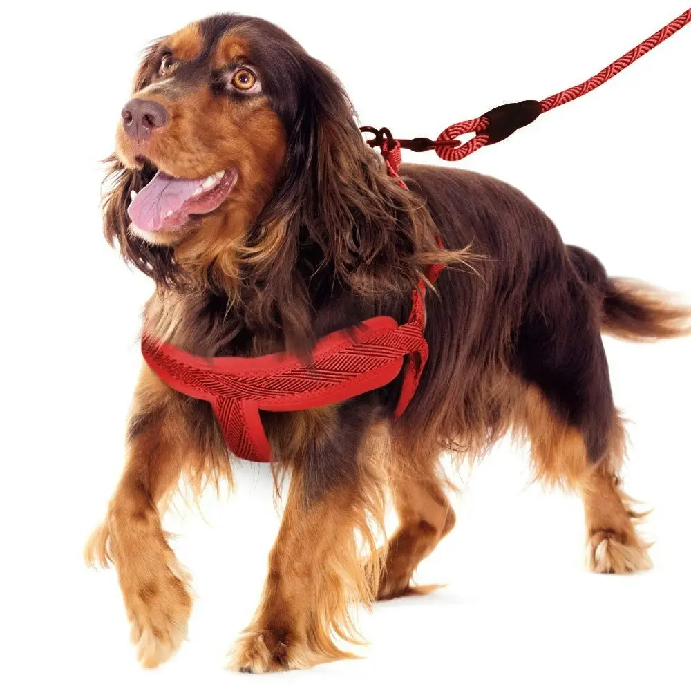 2x Paws & Claws Dog/Pet 120cm Mesh Lead/50-70cm Adjustable Harness Medium Assort