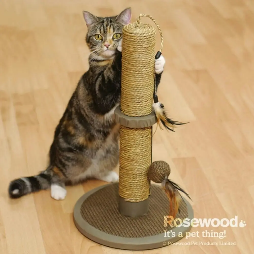 Rosewood 45cm Catwalk Collection Vigo Cat Scratcher/Scratching Post Pet Catnip