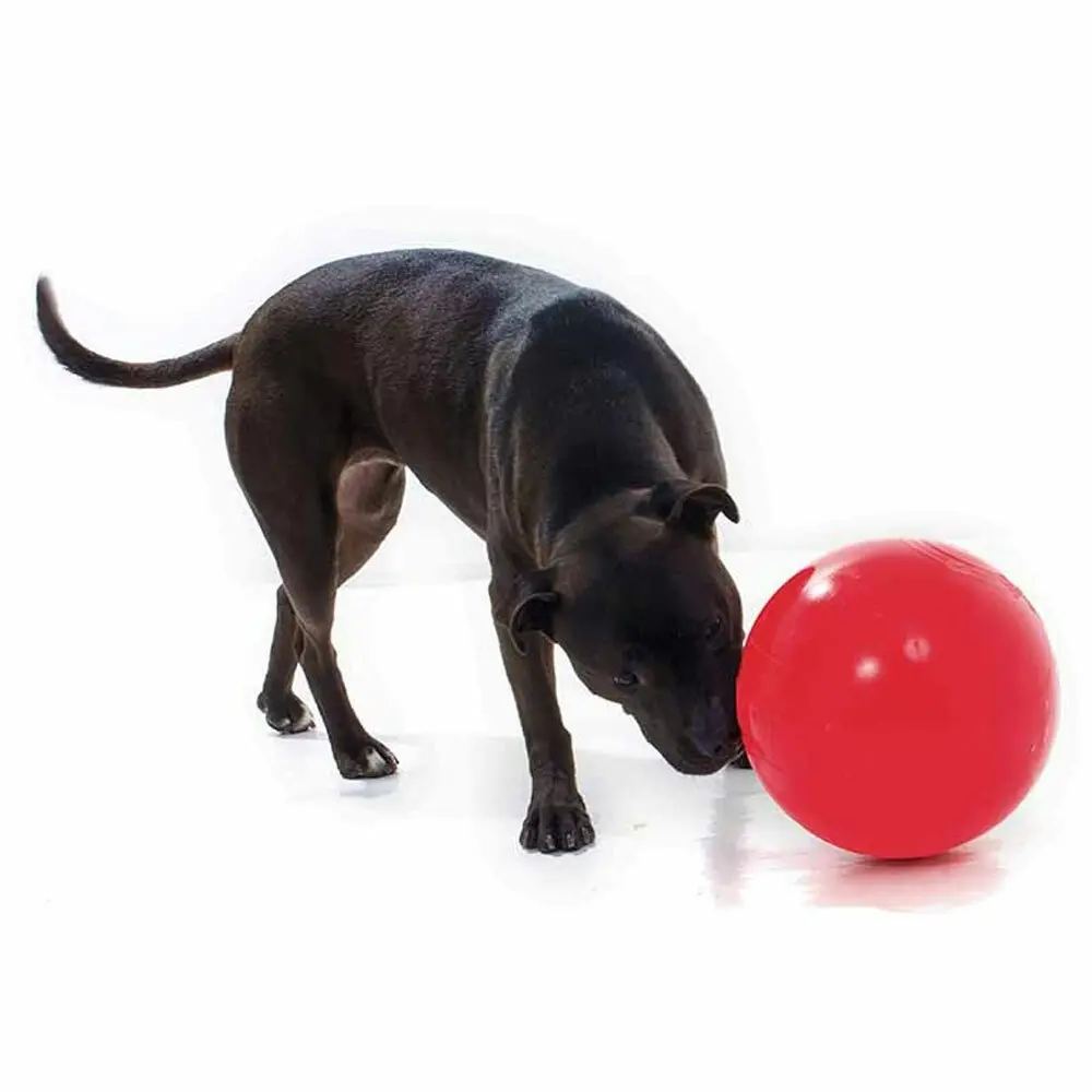 Aussie Dog Products 24cm Enduro Interactive Hard Ball Toy Pet Outdor Red L