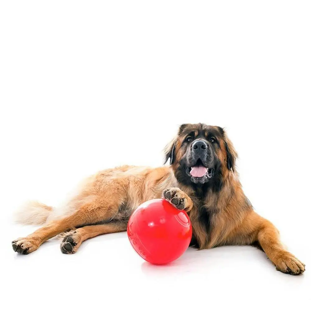 Aussie Dog Products 24cm Enduro Interactive Hard Ball Toy Pet Outdor Red L