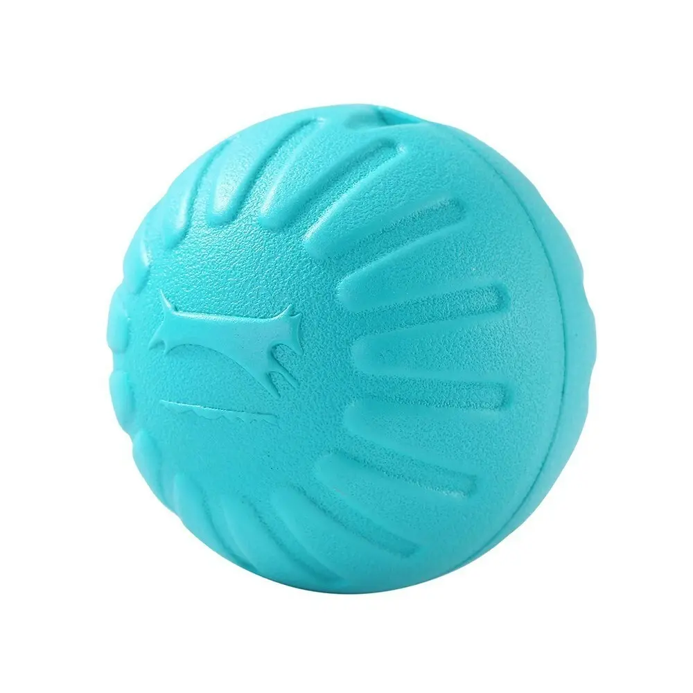 Paws & Claws 9cm Fetch N' Play Ball Pet/Dog Interactive Fun Play Chew Toy Aqua