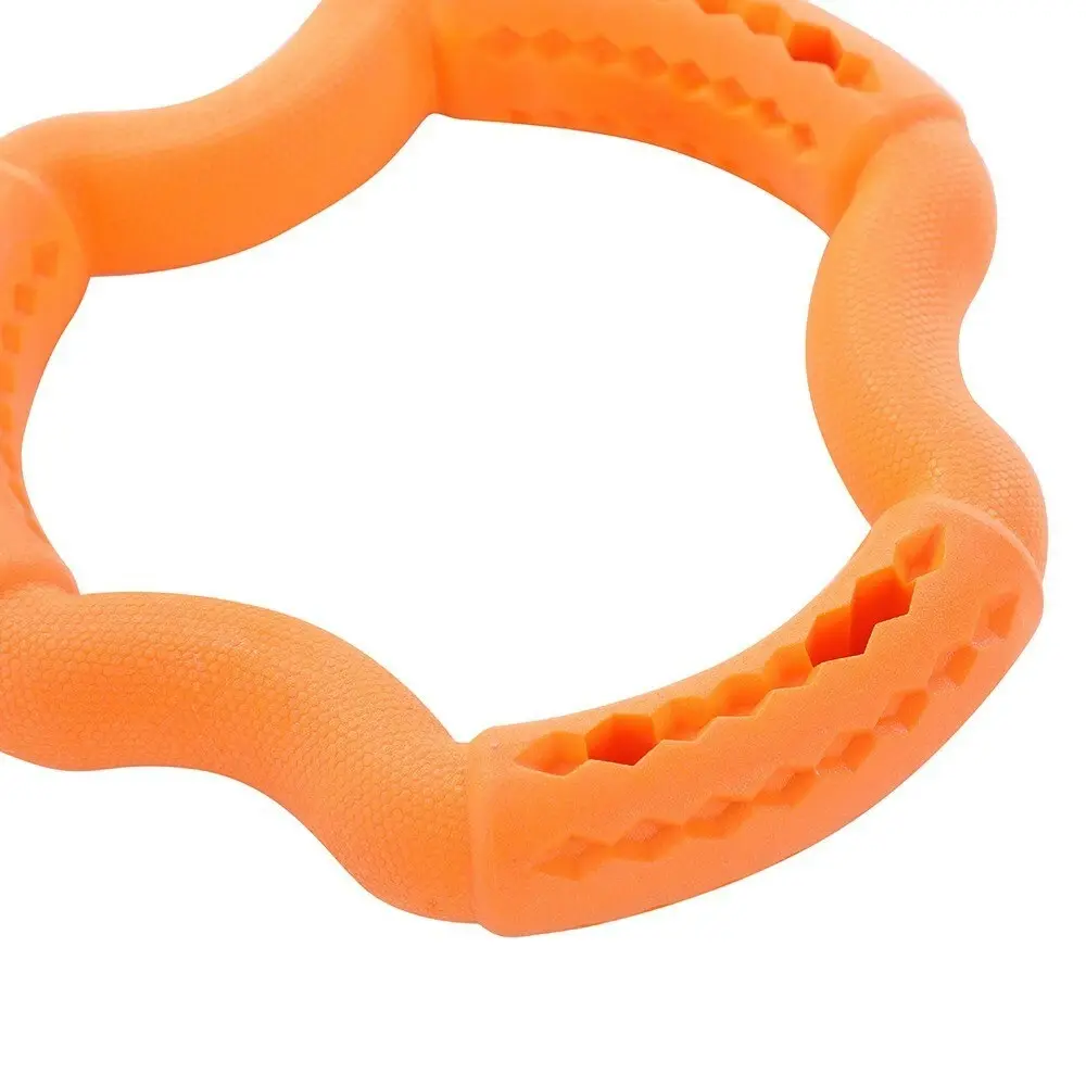 Paws & Claws 21x21x3.6cm Fetch N' Play Treat Ring Dog/Pet Rubber Toy Assorted