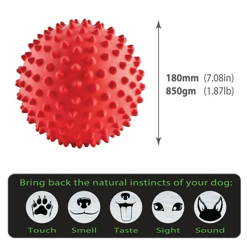 Aussie Dog Products 18cm Mitch Interactive Hard Ball Pet Play Toy Outdoor Red M