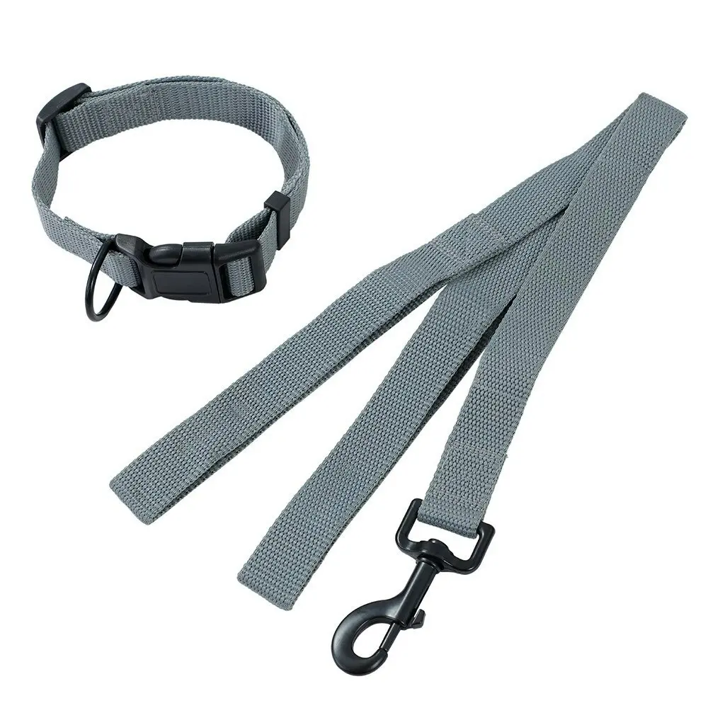 2pc Paws & Claws Essentials Pets Dog Adjustable Collar/120cm Lead Set Assorted