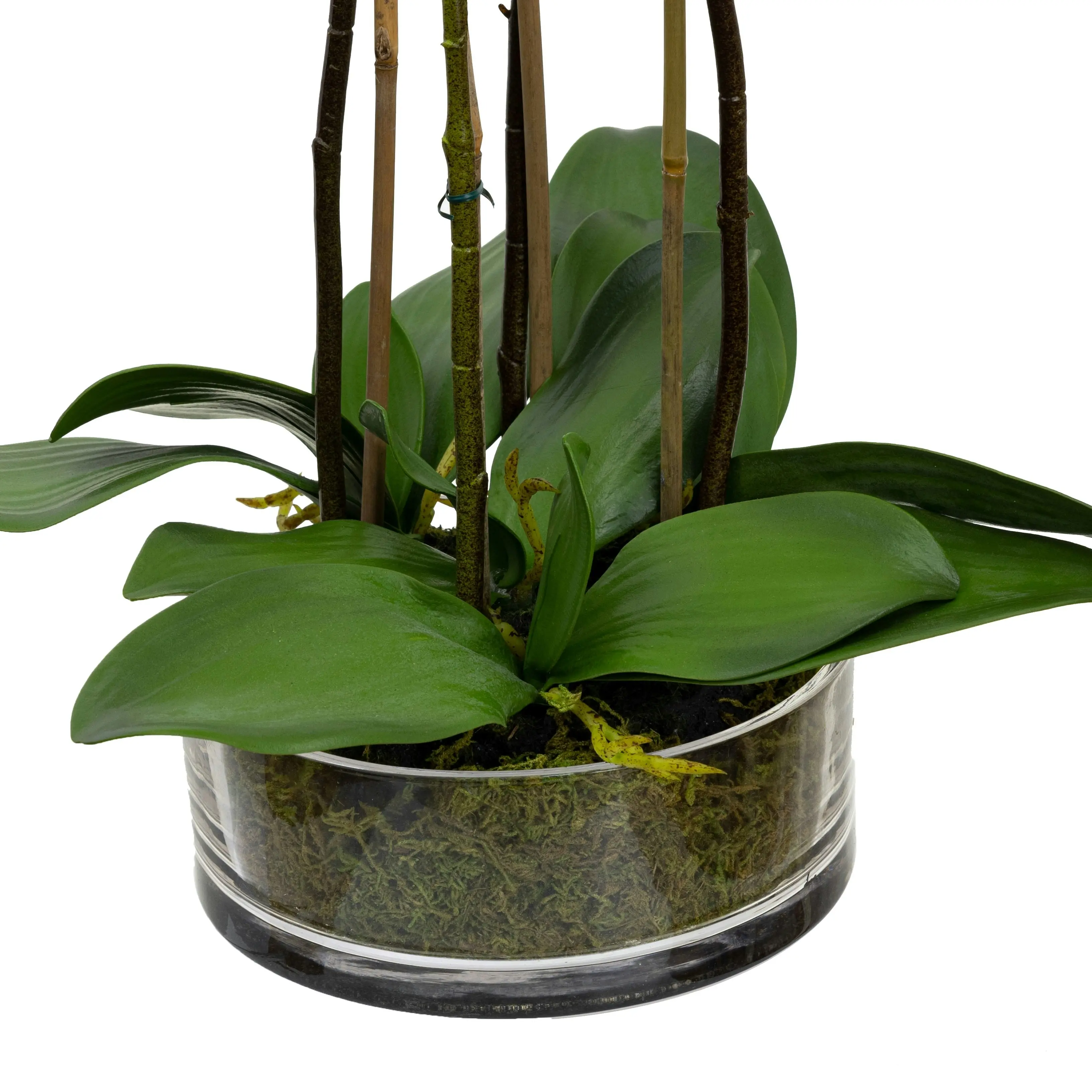 Glamorous Fusion Apricot Orchid Artificial Fake Plant Decorative Arrangement 48cm In Glass Bowl