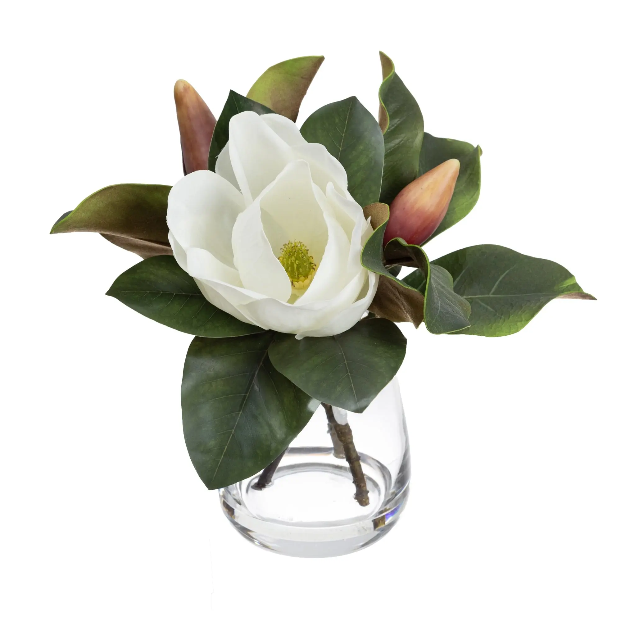 Glamorous Fusion Magnolia Artificial Fake Plant Decorative Arrangement 32cm In Glass