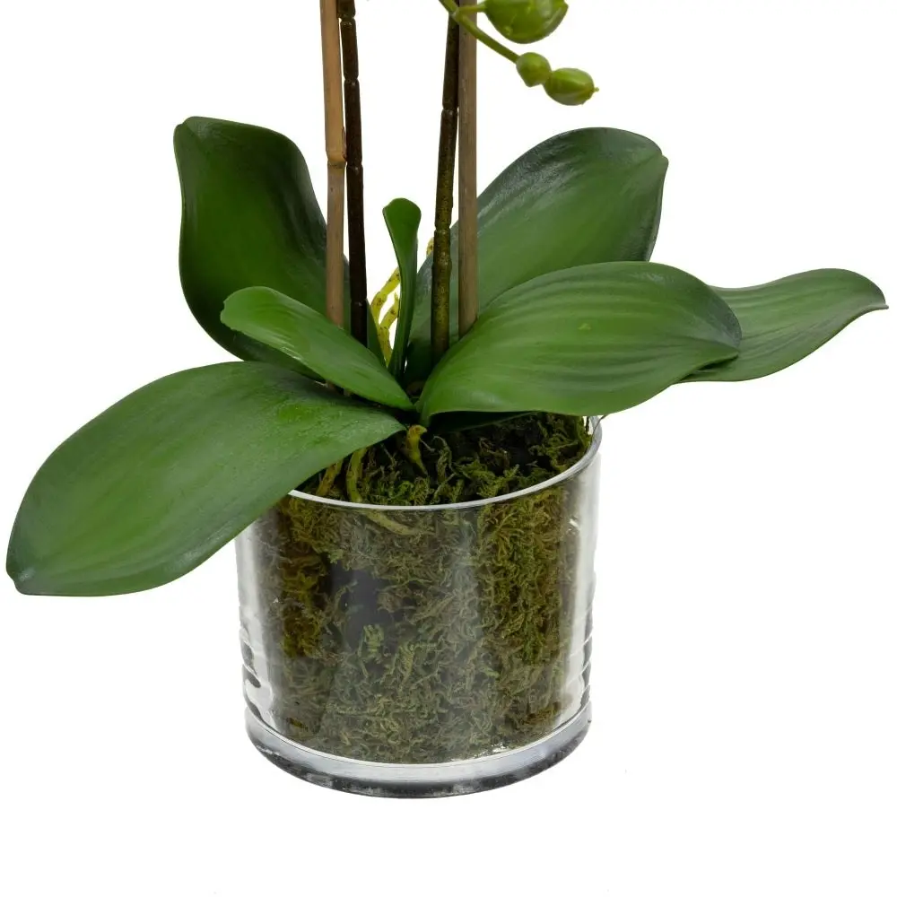 Glamorous Fusion Apricot Orchid Artificial Fake Plant Decorative Arrangement 45cm In Cylinder Glass