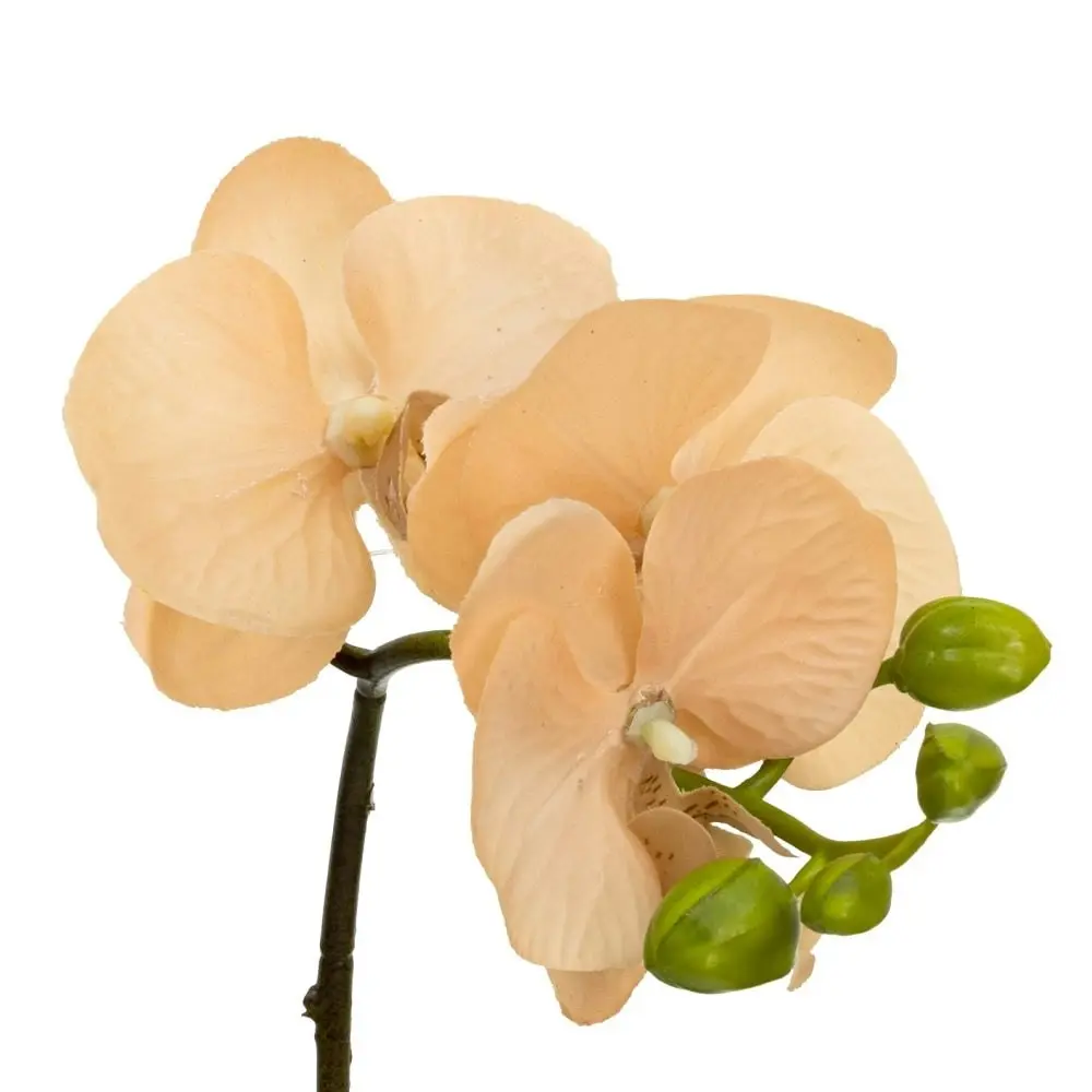 Glamorous Fusion Apricot Orchid Artificial Fake Plant Decorative Arrangement 32cm In Square Glass