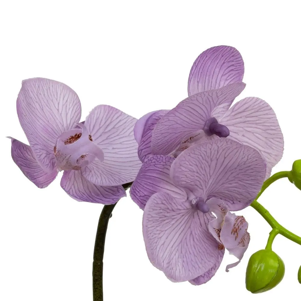 Glamorous Fusion Lavender Orchid Artificial Fake Plant Decorative Arrangement 32cm In Square Glass