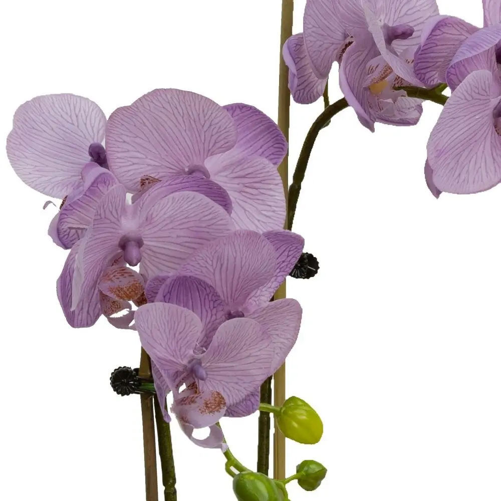 Glamorous Fusion Lavender Orchid Artificial Fake Plant Decorative Arrangement 45cm In Cylinder Glass