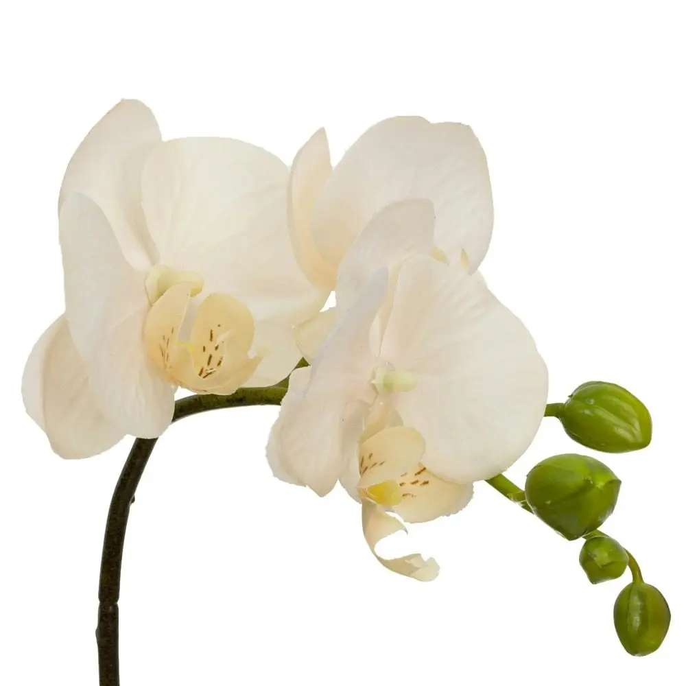 Glamorous Fusion Peach Orchid Artificial Fake Plant Decorative Arrangement 32cm In Square Glass