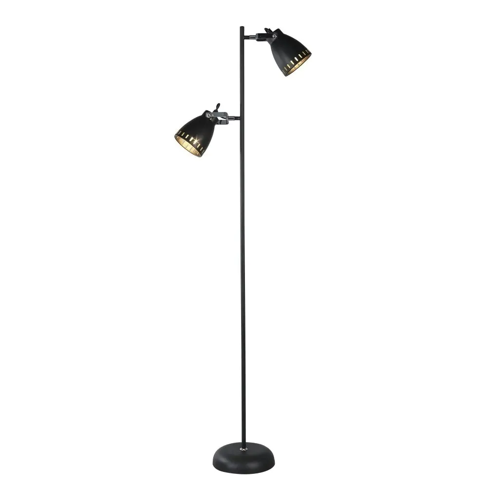 Rosie 2-Lights Modern Rustic Metal Floor Lamp Light Black