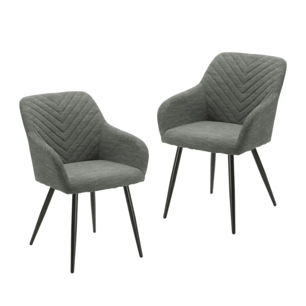 Raimon Furniture Set Of 2 Fari Fabric Dining Chairs Metal Legs - Steel