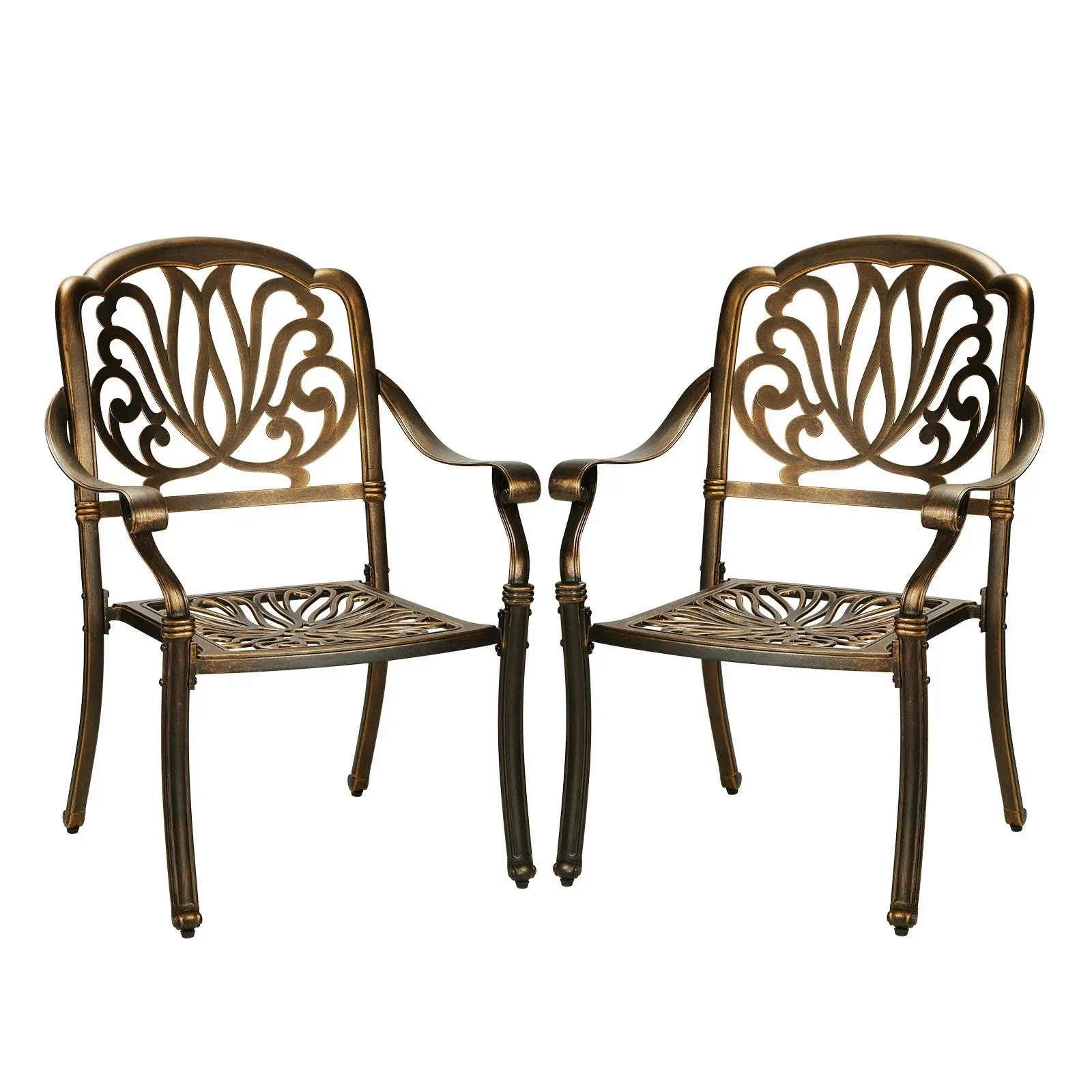 Livsip Outdoor Dining Chairs Cast Aluminium Patio Garden Furniture Set of 2