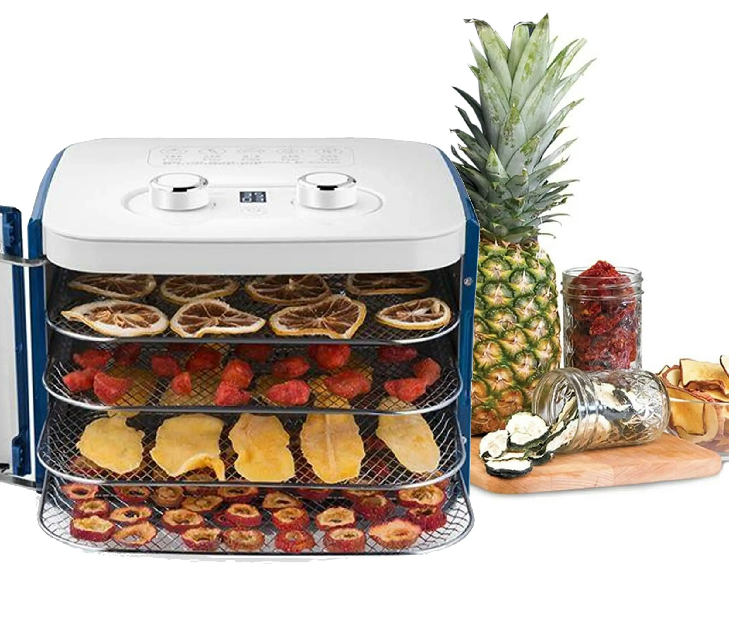 TODO 400W Food Dehydrator Stainless Steel Interior Preserve Yogurt Fruit Dryer Jerky Maker - Blue