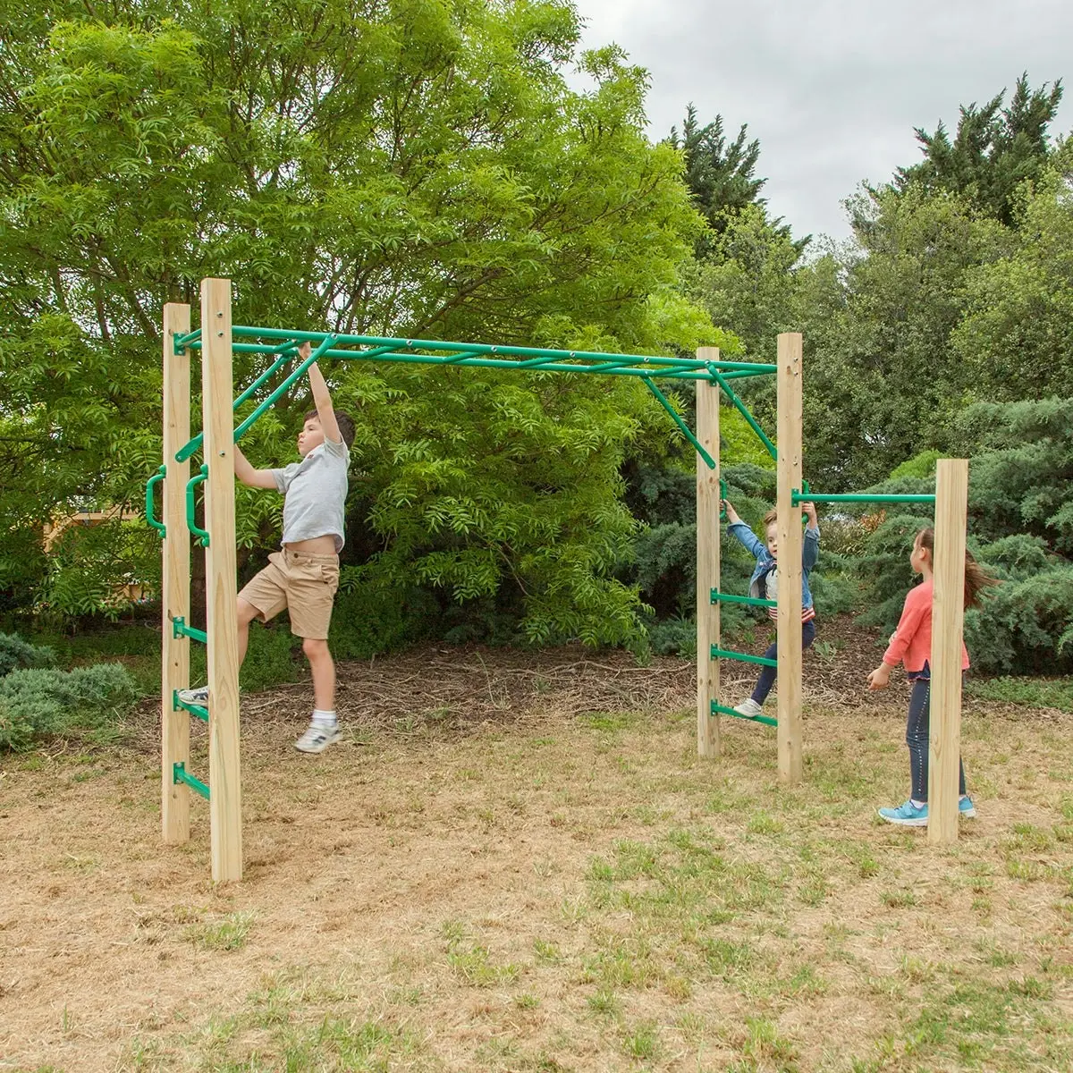 Lifespan Kids Amazon 2.5m Monkey Bars