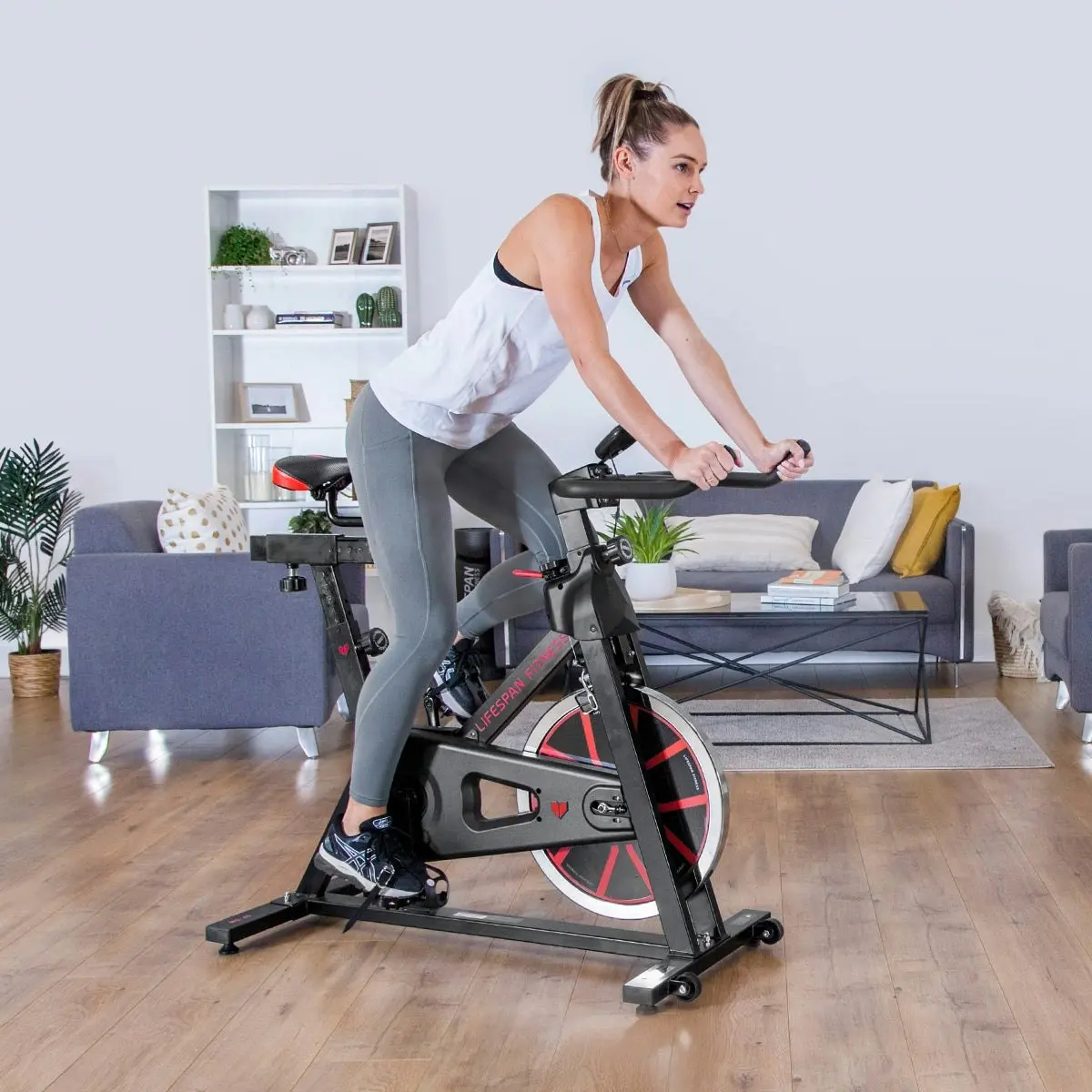 Lifespan Fitness SP310 (M2)  Spin Bike