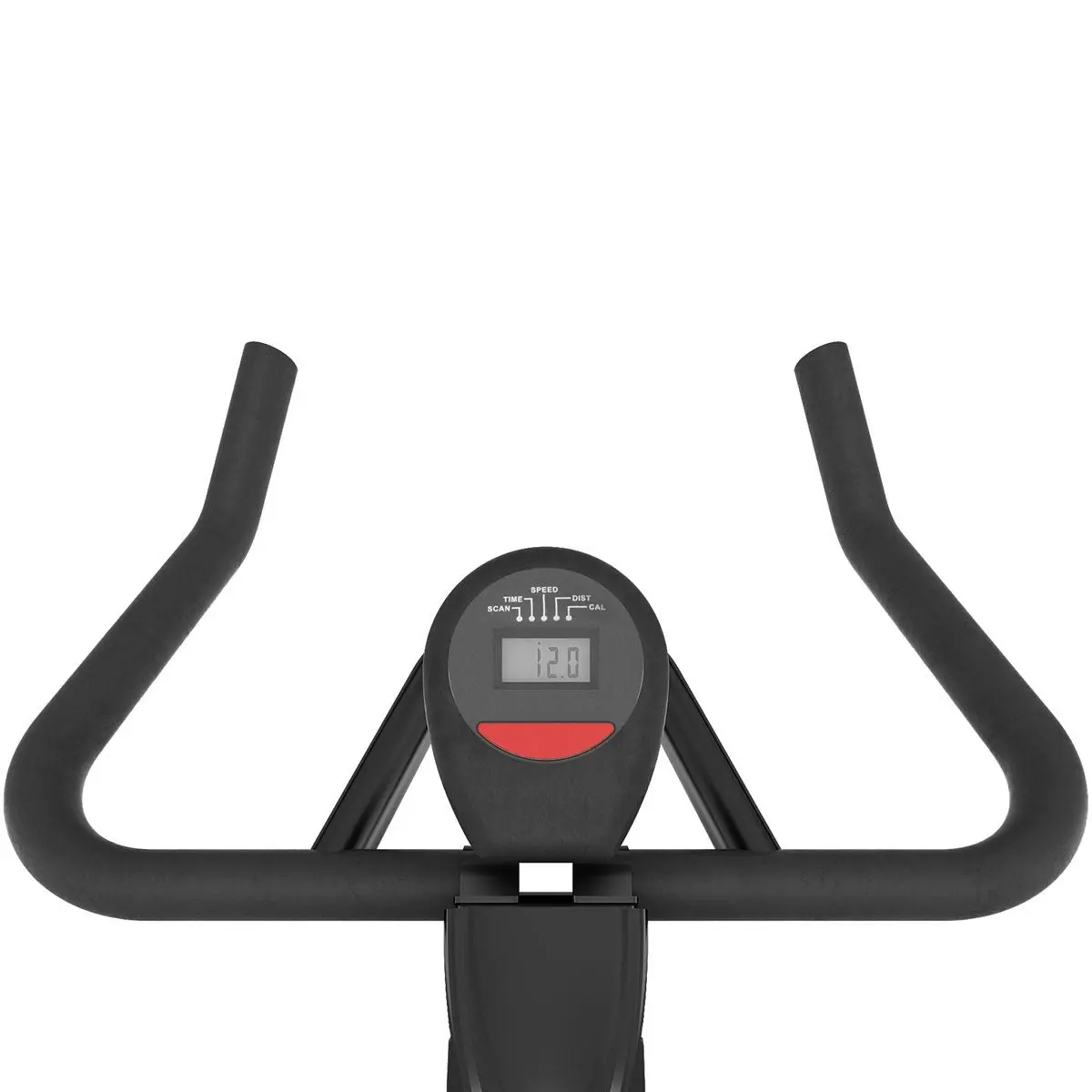 Lifespan Fitness SP310 (M2)  Spin Bike