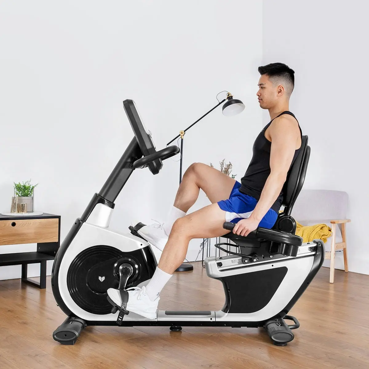 Lifespan Fitness RBX-100 Commercial Recumbent Bike