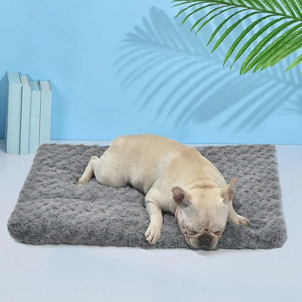 Pawz Pet Bed Dog Beds Bedding Soft Warm Mattress Cushion Pillow Mat Velvet M