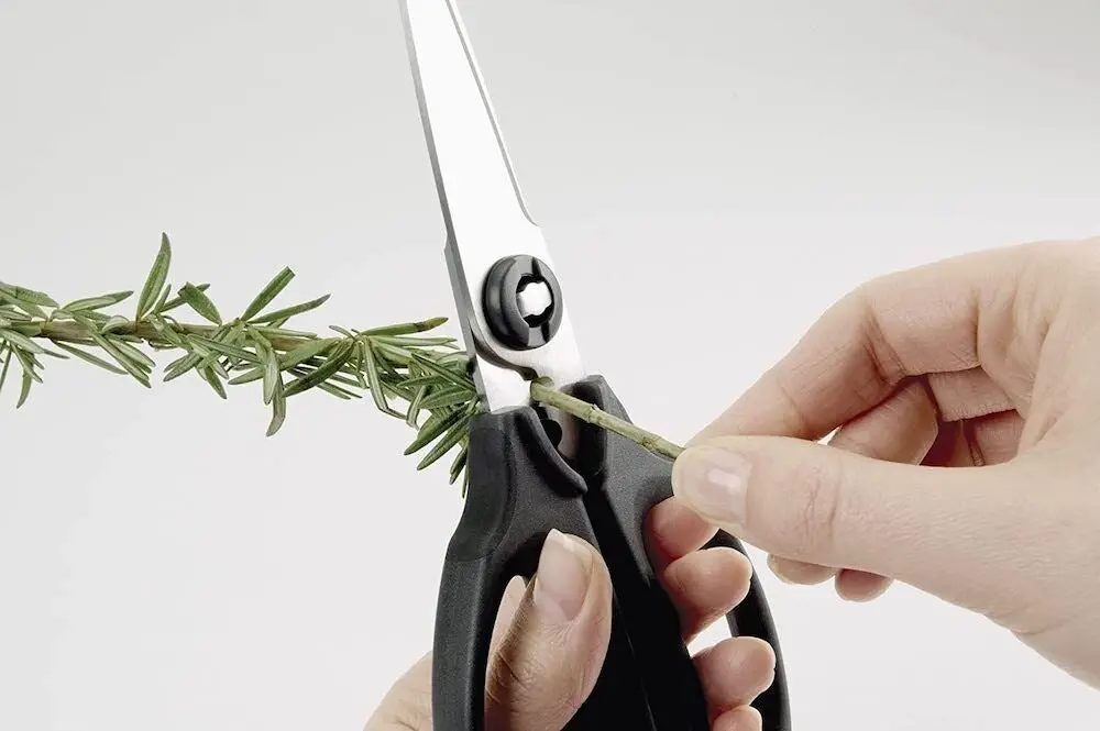 OXO Good Grips Kitchen & Herb Pull Apart Scissors