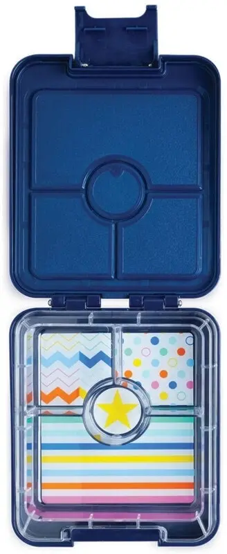 Penny Scallan Medium Bento Box - Dino Rock