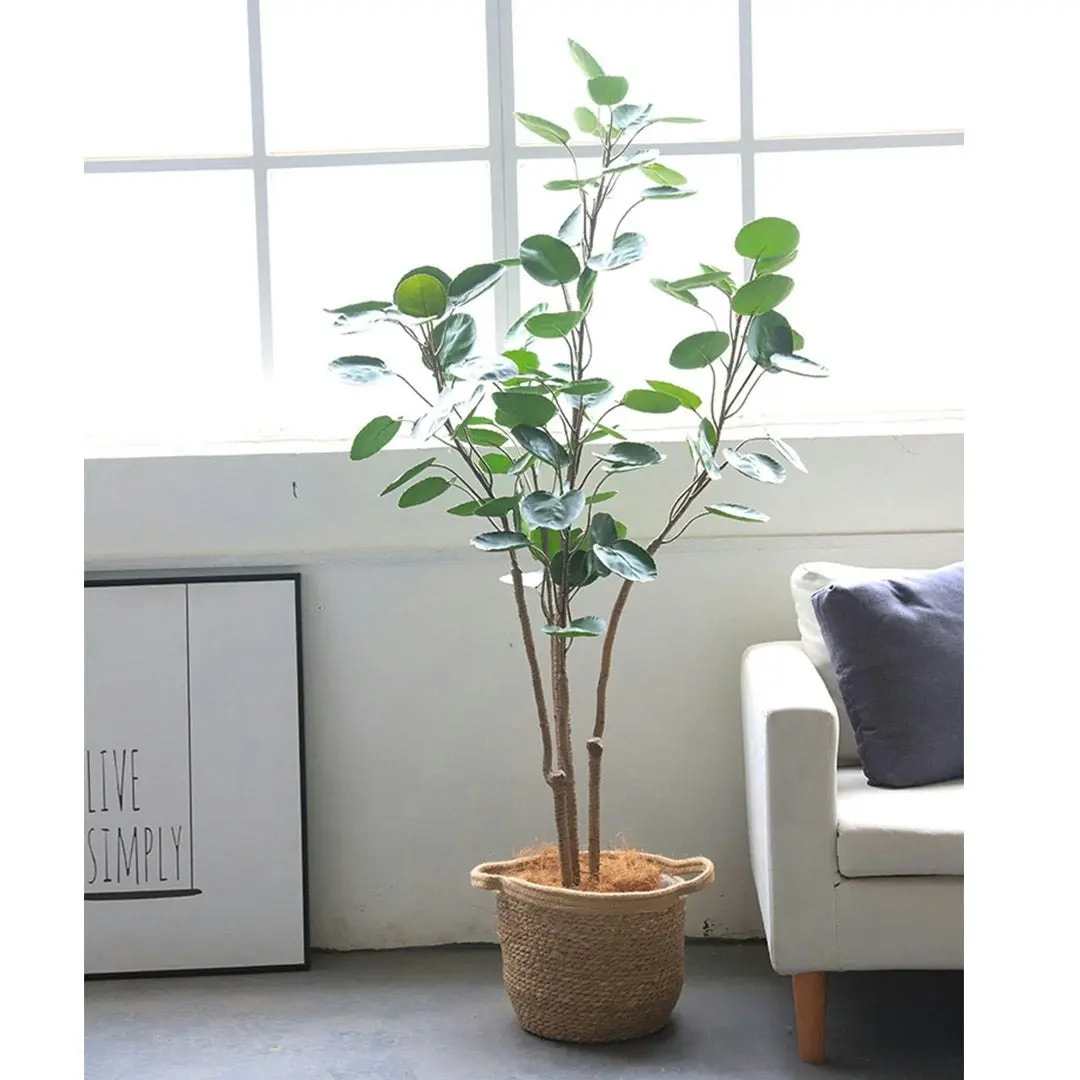 Soga 150cm Plastic Potted Polyscias Scutellaria Plant Home Garden Artificial Tree, Home Decor