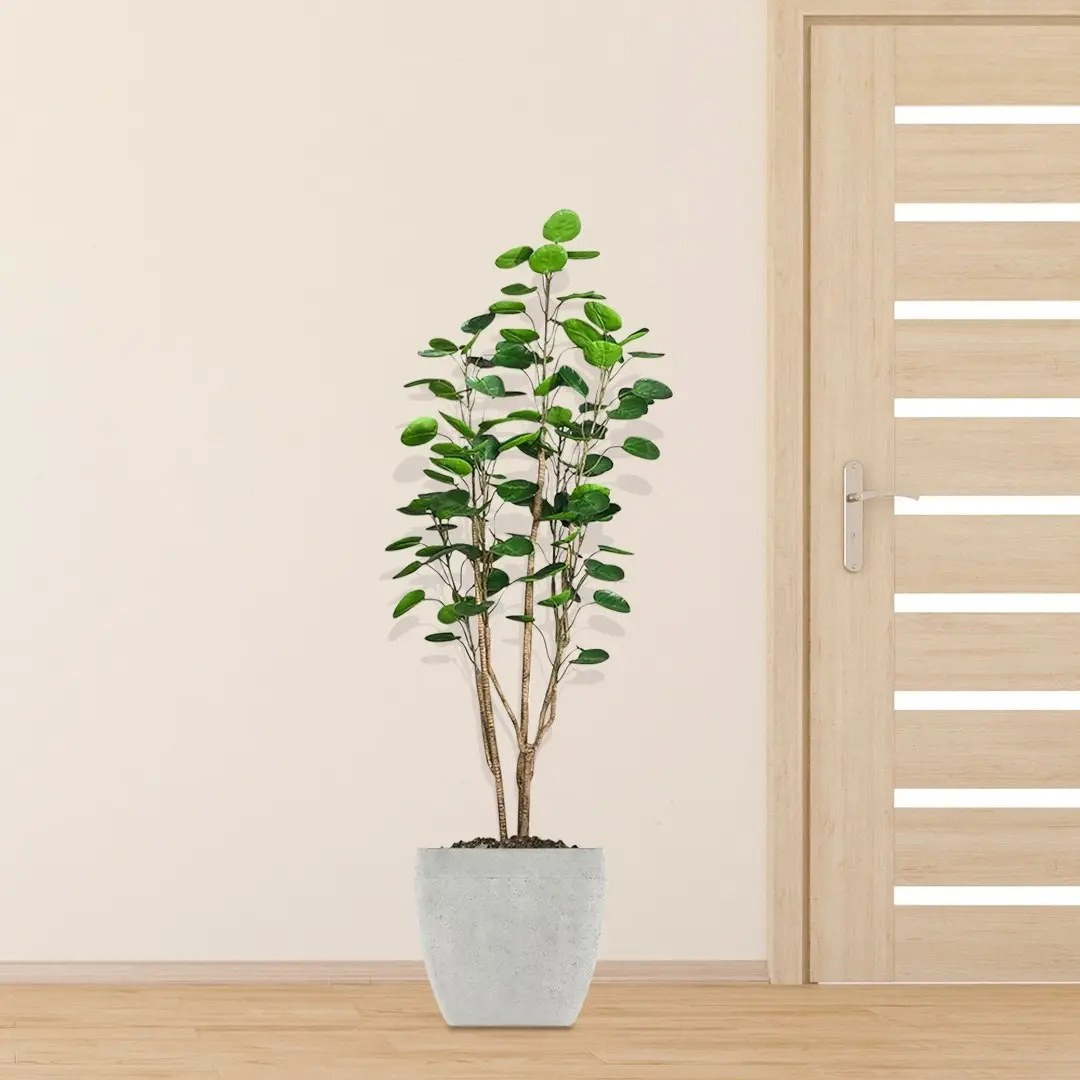 Soga 150cm Plastic Potted Polyscias Scutellaria Plant Home Garden Artificial Tree, Home Decor