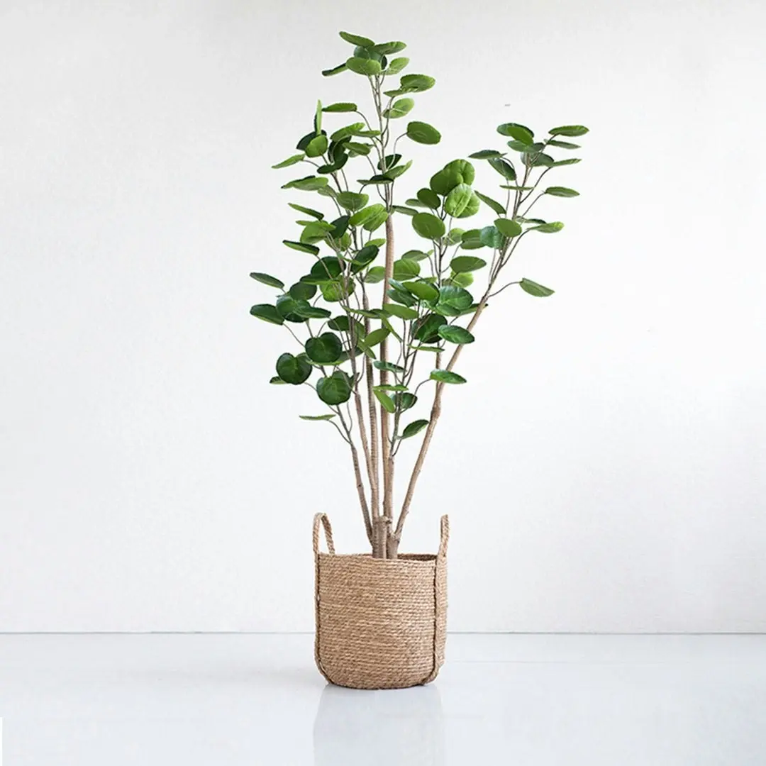 Soga 150cm Plastic Potted Polyscias Scutellaria Plant Home Garden Artificial Tree, Home Decor