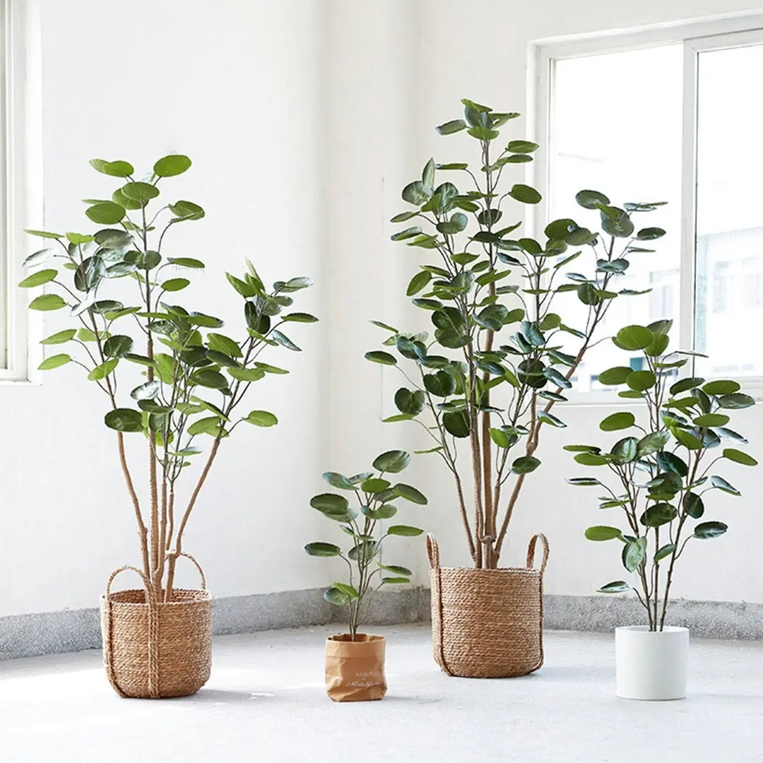 Soga 150cm Plastic Potted Polyscias Scutellaria Plant Home Garden Artificial Tree, Home Decor