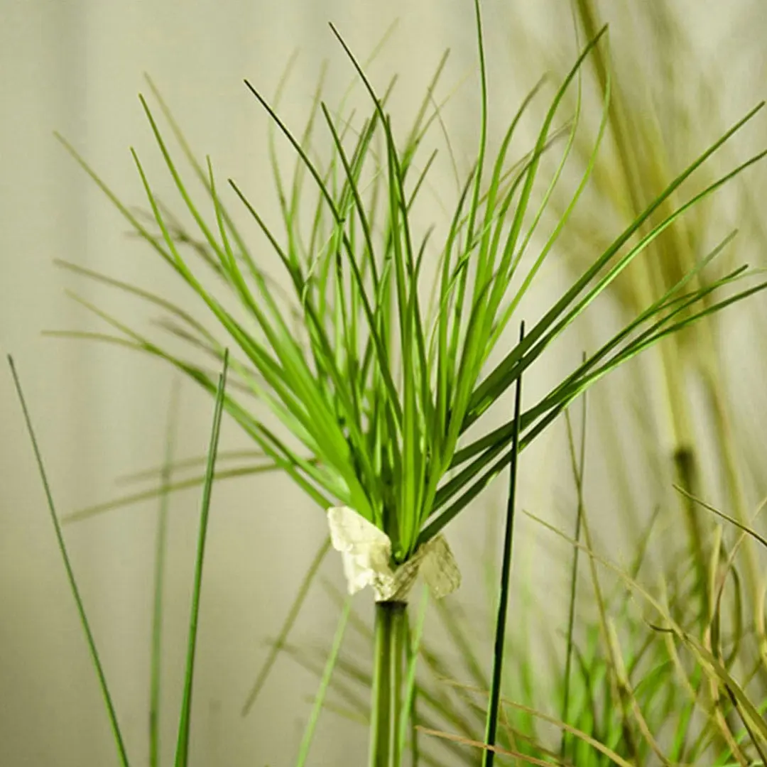 Soga 150cm Cyperus Papyrus Plant Tree Artificial Green Grass, Home Or Office Indoor Greenery Accent